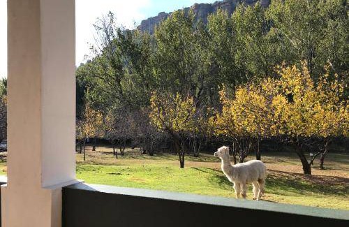 Lady Grey Bed & Breakfast | 140 m² Bed and breakfast ∙ 3 bedrooms ∙ 6 guests