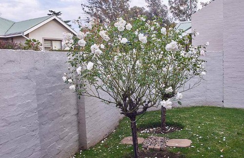 Clarens Apartment | 16 m² Apartment ∙ 2 bedrooms ∙ 4 guests
