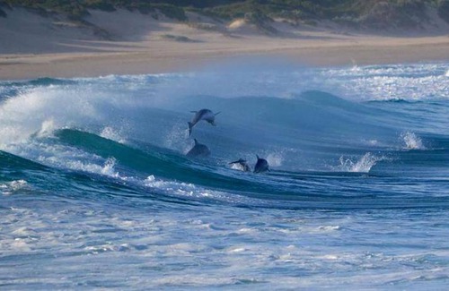 Cape Saint Francis Apartment | 20 m² Apartment ∙ 3 guests