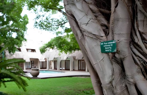 UPhongolo Bed & Breakfast | 20 m² Bed and breakfast ∙ 127 guests