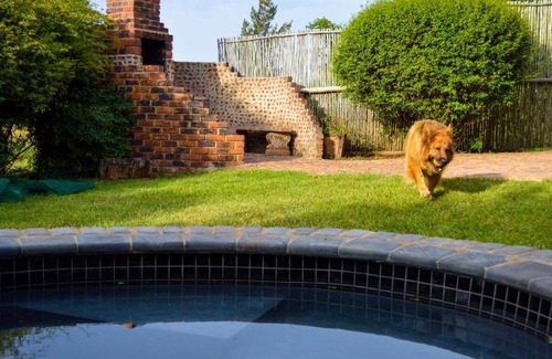 Magaliesberg Apartment | 20 m² Serviced apartment ∙ 3 bedrooms ∙ 10 guests