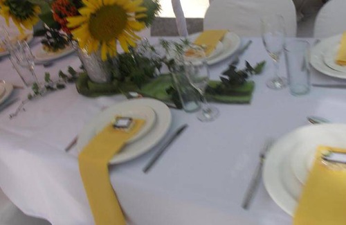 Ladysmith Bed & Breakfast | 22 m² Bed and breakfast ∙ 4 guests