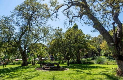 Greater Johannesburg Metropolitan Area Apartment | 24 m² Apartment ∙ 4 guests