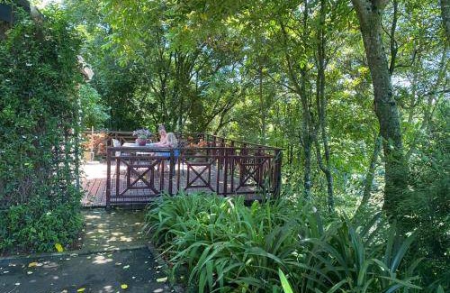 Hilton Bed & Breakfast | 25 m² Bed and breakfast ∙ 4 guests