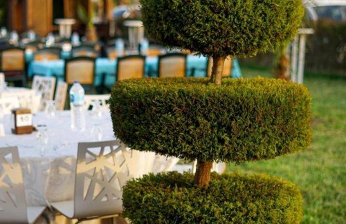 Ocaklar Hotel | 25 m² Hotel ∙ 5 guests