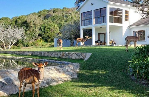 Still Bay House | 250 m² House ∙ 6 bedrooms ∙ 12 guests