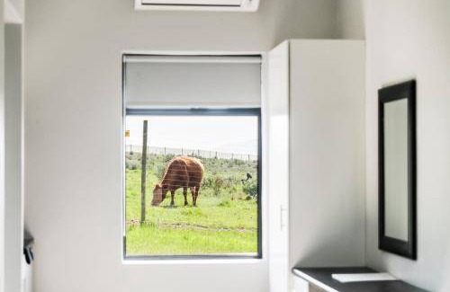 Koelenhof Apartment | 30 m² Apartment ∙ 1 bedroom ∙ 3 guests