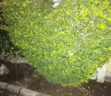 Polokwane Apartment | 30 m² Apartment ∙ 1 bedroom ∙ 2 guests