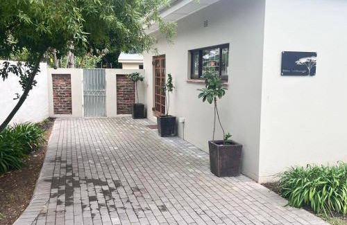 George Apartment | 35 m² Apartment ∙ 1 bedroom ∙ 2 guests