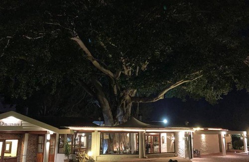 Worcester Bed & Breakfast | 37 m² Bed and breakfast ∙ 4 guests