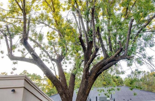Bloemfontein Bed & Breakfast | 40 m² Bed and breakfast ∙ 6 guests