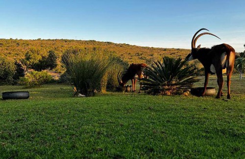 Hessequa Apartment | 45 m² Apartment ∙ 3 guests