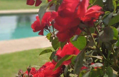 Kraaifontein Bed & Breakfast | 45 m² Bed and breakfast ∙ 127 guests