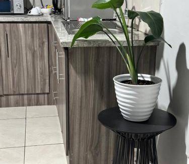 Kimberley Apartment | 50 m² Apartment ∙ 1 bedroom ∙ 2 guests