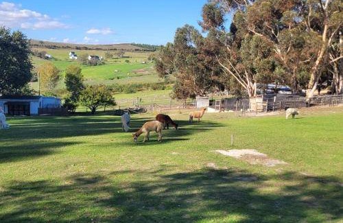 Caledon House | 90 m² Farmhouse ∙ 4 guests