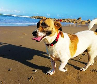 Ramsgate Beach Apartment | All the Tides - Lo Tide