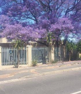 Paarl Apartment | Apartment ∙ 1 bedroom ∙ 2 guests
