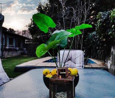 Potchefstroom Bed & Breakfast | Bed and breakfast ∙ 4 guests