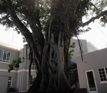 Selborne Bed & Breakfast | Bed and breakfast ∙ 6 guests