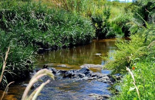Swellendam Apartment | Blue Mountain Farm Lodge, Farm & Dam House
