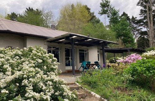 Hogsback Ski Chalet | Bramber Cottage Hogsback, Living With Joy!