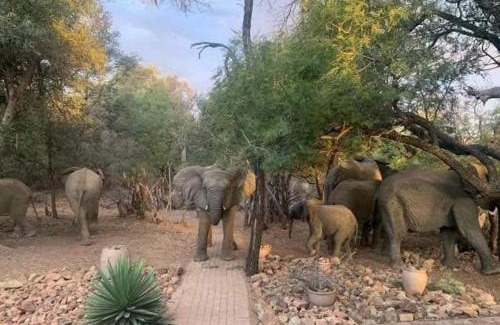 Bela-Bela Ski Chalet | Bush Dream, Mabalingwe