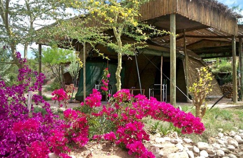 Oudtshoorn Other | Camping ∙ 1 bedroom ∙ 2 guests