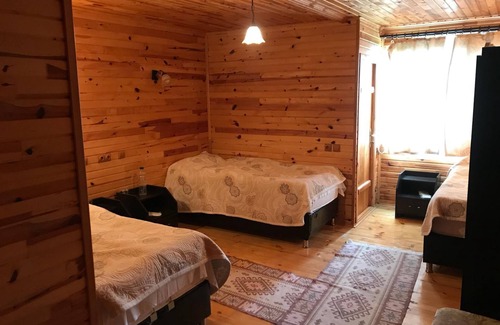 Borcka Hostel | Dedaea Pansiyon