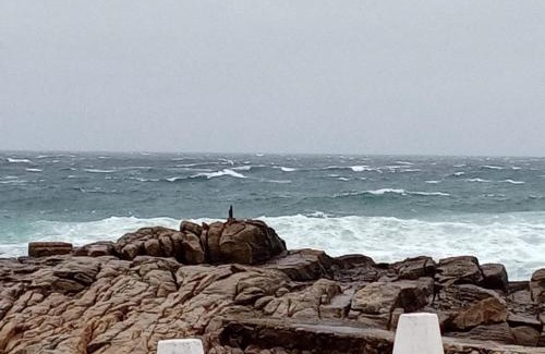 Mossel Bay Apartment | Diaz De Valle 35