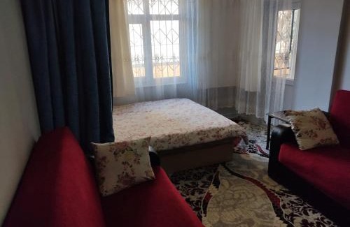 Kepez House | Dormitory Pension Sofas Bunk Bed Rooms in Homestay Apartment