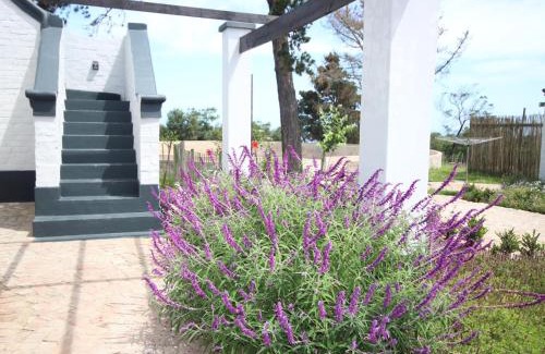 Glentana Apartment | Dunkes Organic Equestrian Estate