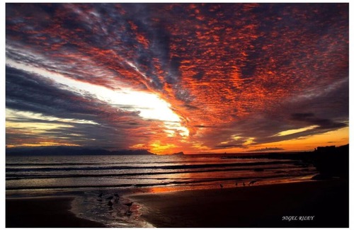 Fish Hoek Apartment | Garden of Eden