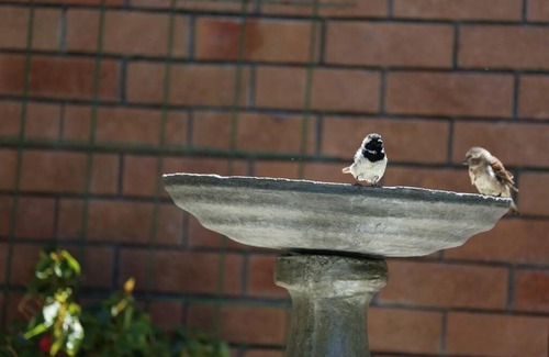 Fish Hoek Apartment | Garden of Eden