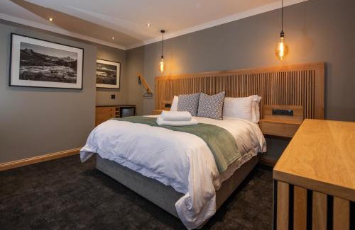 Hilton Hotel | Haisley Hotel