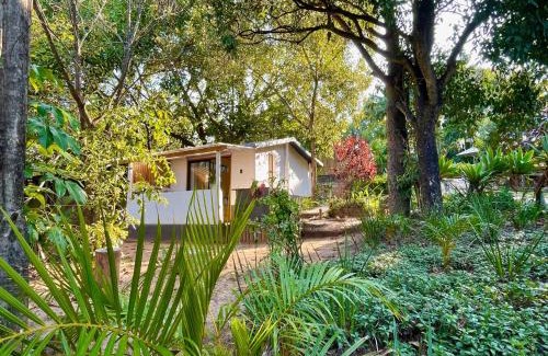 Hazyview Hostel | Hazyview Adventure Backpackers