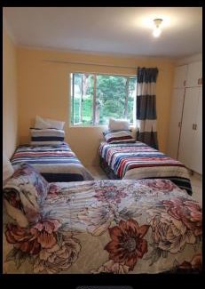 Pinetown Apartment | holzner 52