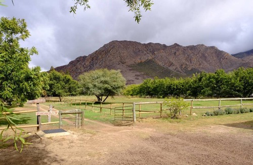 Montagu Hostel | Hostel ∙ 30 guests