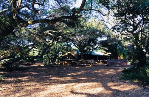 Wilderness Hostel | Hostel ∙ 8 guests