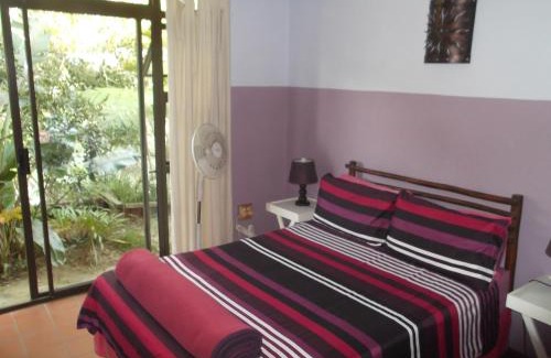 Port St Johns Hostel | Jungle Monkey Backpackers