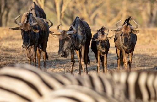 White River House | Kiyala Guest Farm