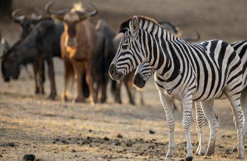 White River House | Kiyala Guest Farm