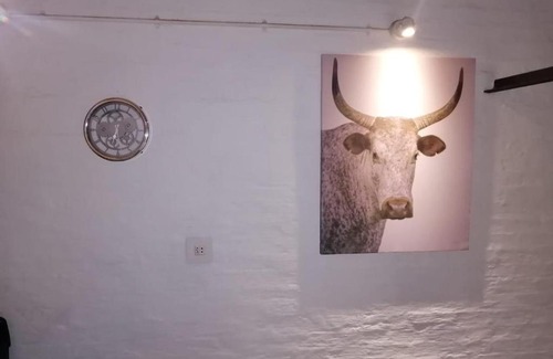 Downtown Johannesburg Apartment | Maboneng Spacious Modern Apartment