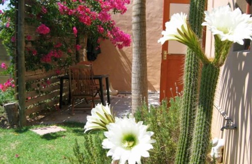 Mowbray Apartment | Malleson Garden Cottage