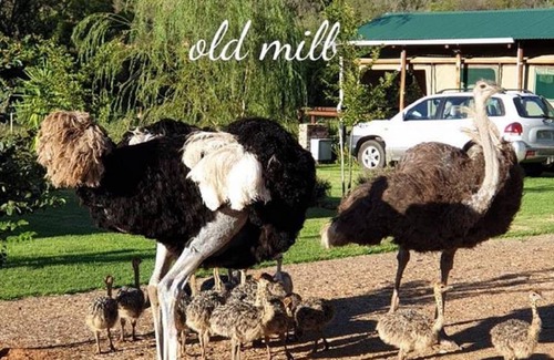 Schoemanshoek House | Motel ∙ 8 guests