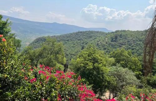 Hazyview Apartment | Mountain whispers