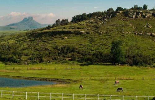 Murphy's Rust Hotel | Oaklands Farm Stay