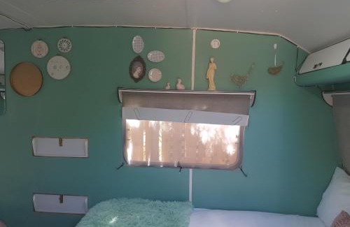 Oudtshoorn Hostel | Oasis Shanti Backpackers