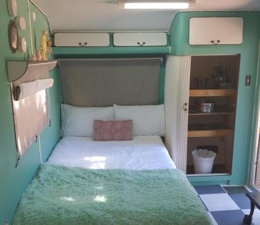 Oudtshoorn Hostel | Oasis Shanti Backpackers
