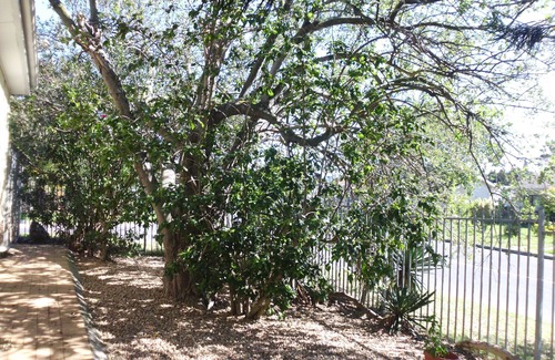 Parow House | One bedroom apartment
