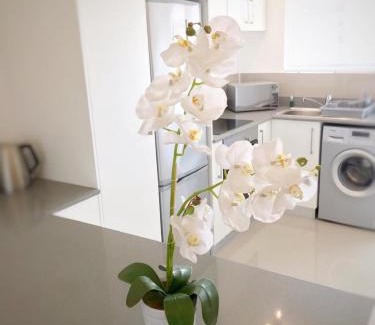Green Point Apartment | Portswood Mews 14 by CTHA